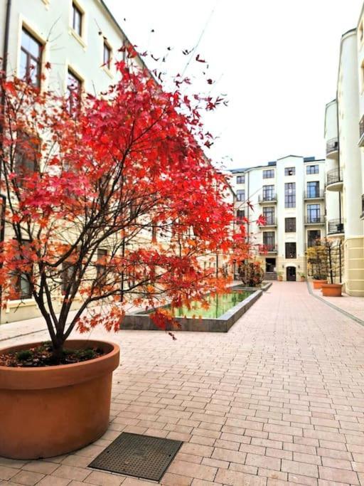 Gold City Point Piotrkowska 37 Lodz  Ngoại thất bức ảnh